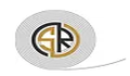 Shree Raj Steels